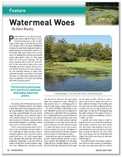 Watermeal_Woes_Pond_Boss_Page_1_e.jpg