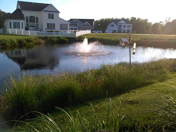 Whites_Creek_Bethany_3_Buffer_Ocean_View_DE_Greg_05.30.14