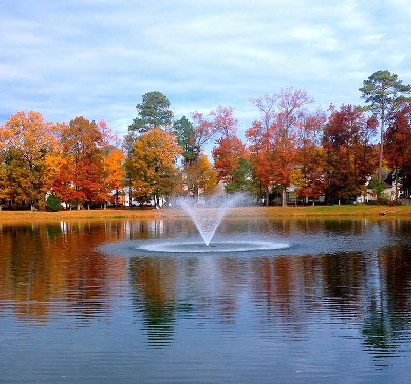 Wythe_Creek_2_AquaMaster_Masters_Series_Lakewood_3.5_HP_Poquoson_VA_Kyle_Finerfrock_SOLitude_2015_c