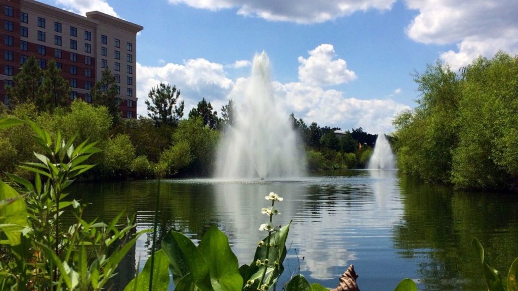 algae aquatic weed before and after lake and pond natural management fountains and aeration commercial property