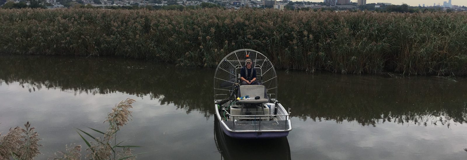 airboat phragmites treatment invasive aquatic weed control wetlands