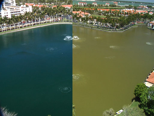 before-and-after-water florida case study