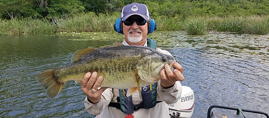 largemouth bass