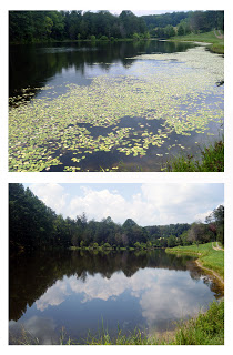 VA Lake treated by SOLitude Lake Management with SePro Sonar Q