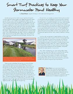smart turf practices to keep your stormwater pond healthy