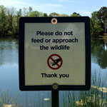 Do Not Feed Wildlife