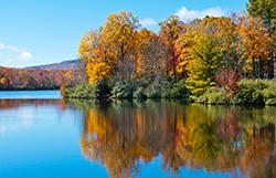 Pond Management Best Practices for Fall