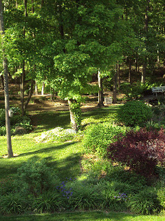 DSC06040