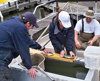 Electrofishing
