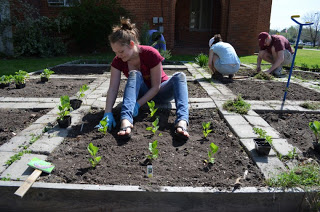 sasha owens plants community garden at five points community farm market