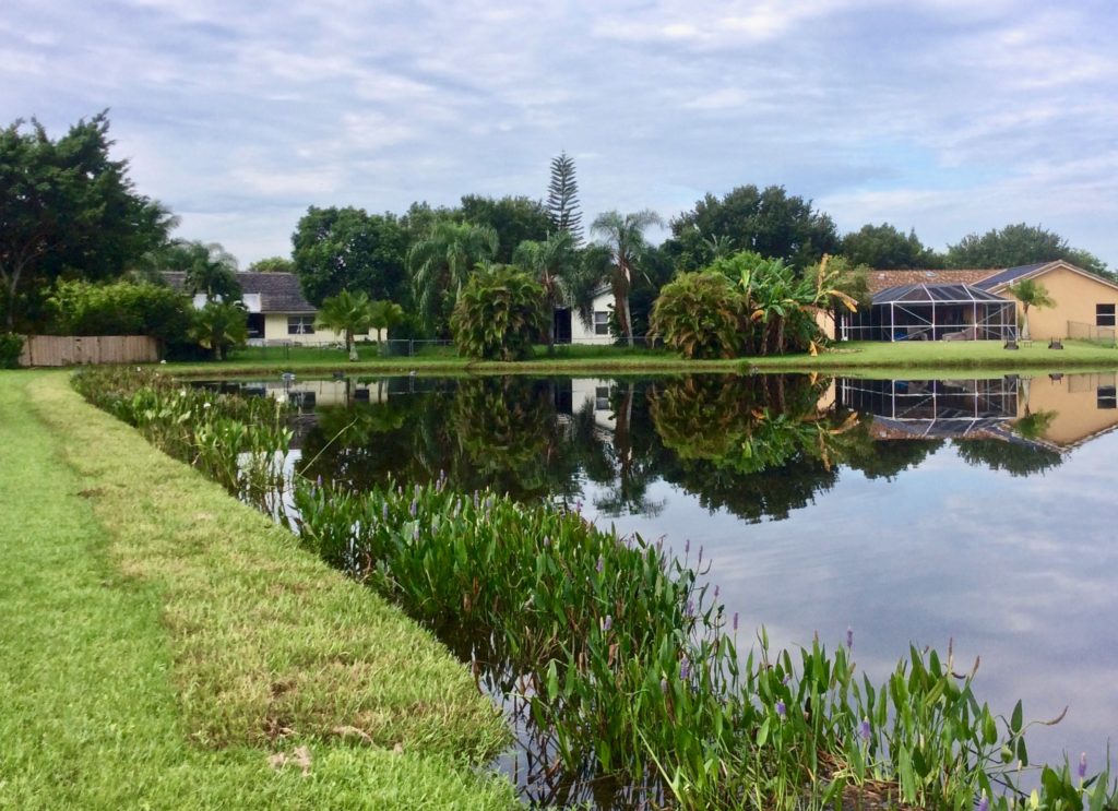 golf course - sox installation - erosion control - shoreline - buffer mangement-scenic