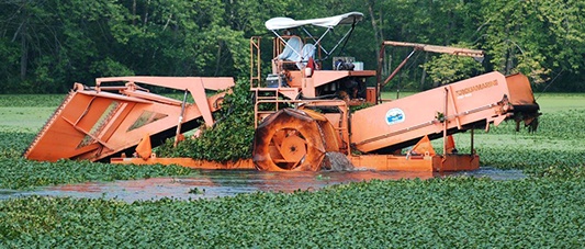 harvesting-floating-aquatic-weeds