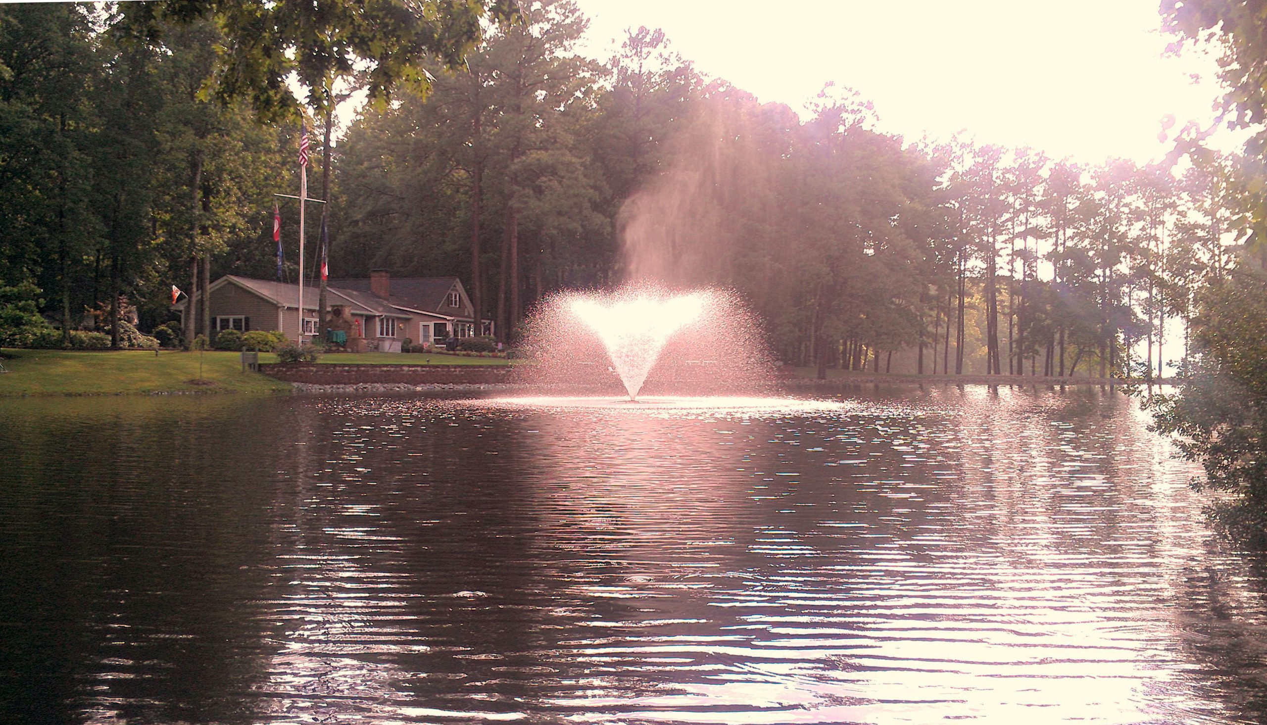 fountain pond managment