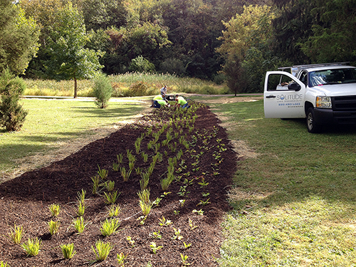 Kenilworth Park planting c