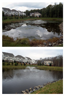 VA Pond treated by SOLitude Lake Management with SePro Phoslock
