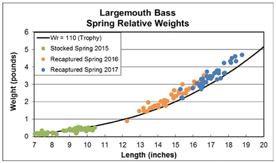 largemouth bass spring relative weights