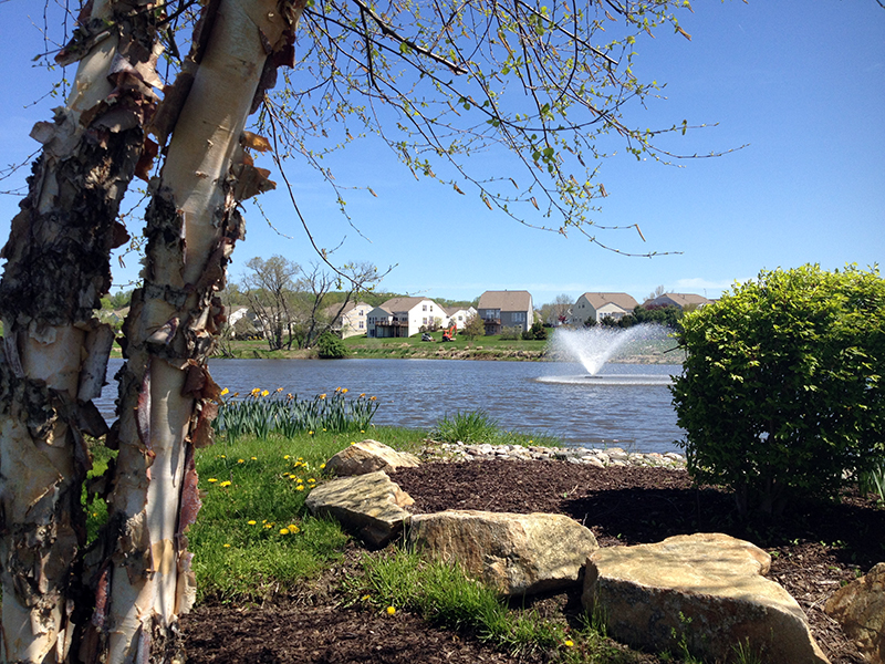 late_spring_Kennet_Square_PA_JohnPhelps_5.14.14_c