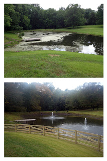 VA Pond treated by SOLitude Lake Management with SePro Sonar Genesis