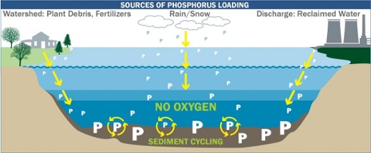 phosphorus loading-1-1