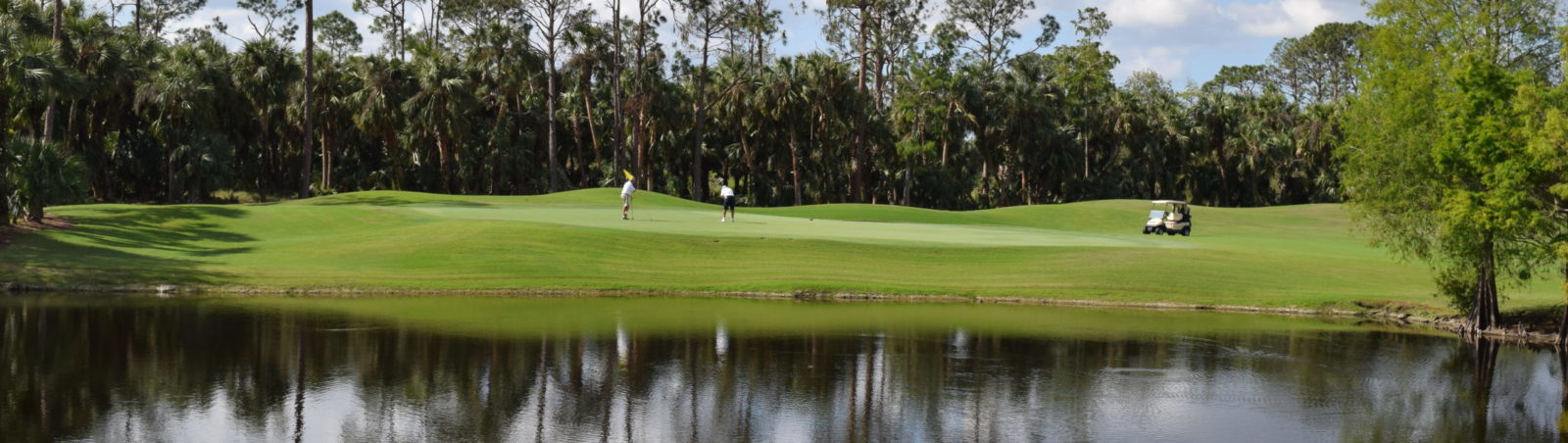 private-golf-course-naples-fl-shoreline and erosion control - buffer - scenic