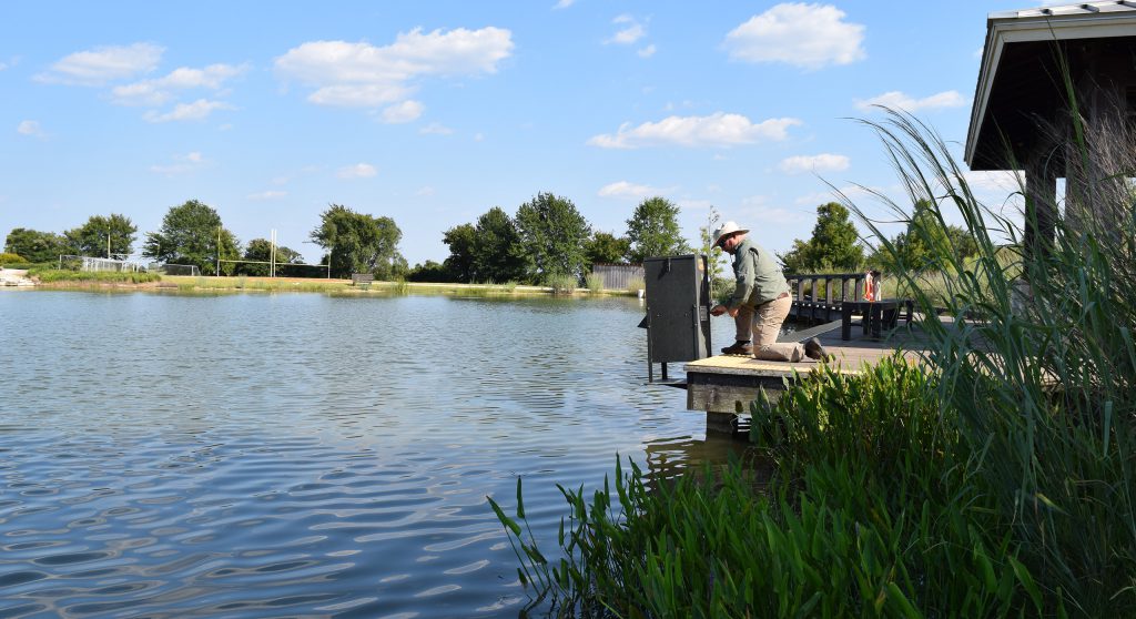 Pond fish deals food dispenser