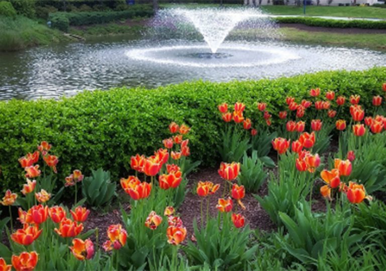 scenic buffer fountains aeration natural management-1