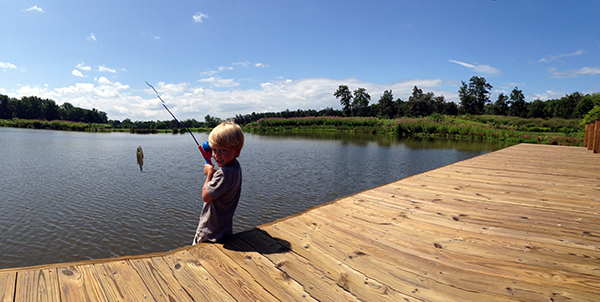 Selective Harvest Fisheries management strategy
