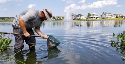 fish stocking - fisheries management - on the job - colleague