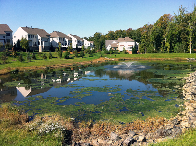 stormwater-pond-algae