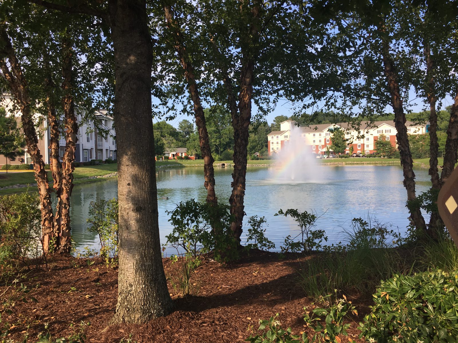 summer-cambria-at-cornerstone apartments-virginia-beach-VA (1)