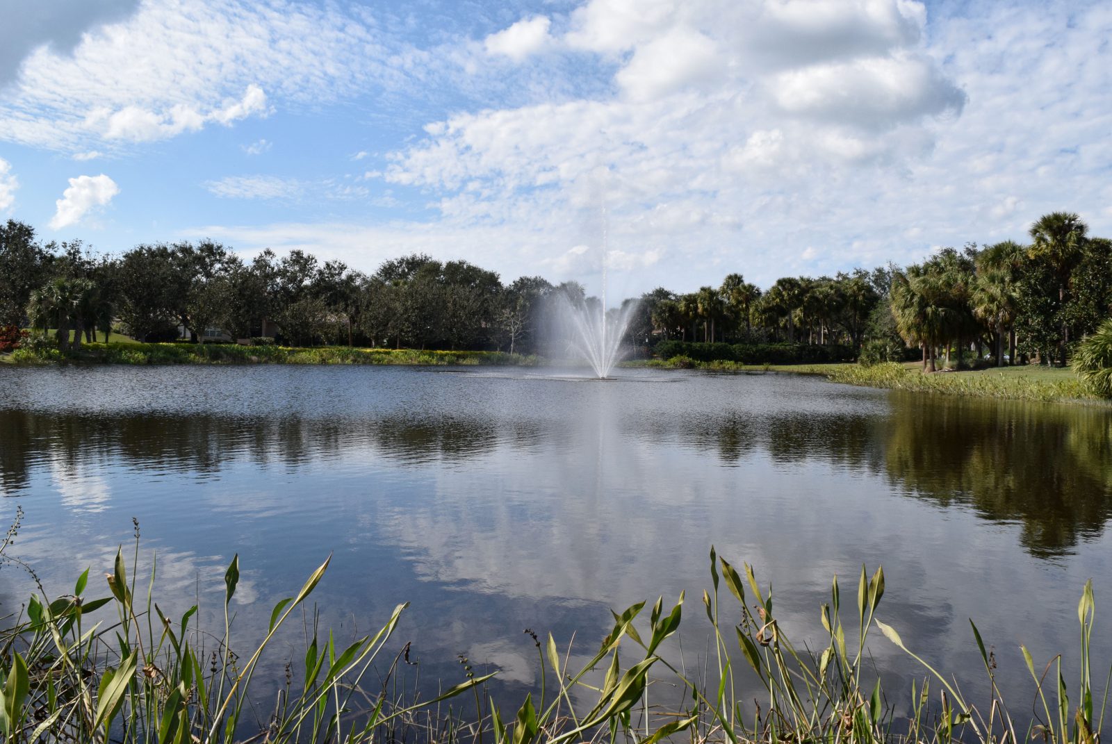 community pond with fountain