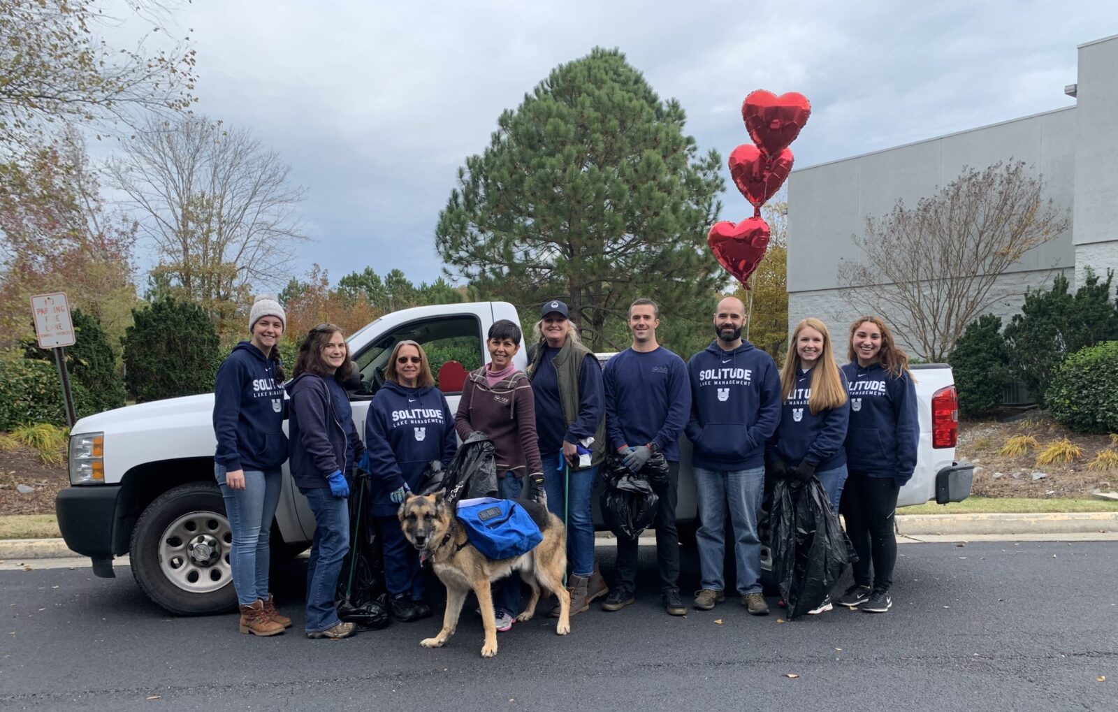 the solution - volunteering - team - heart and sol - vb