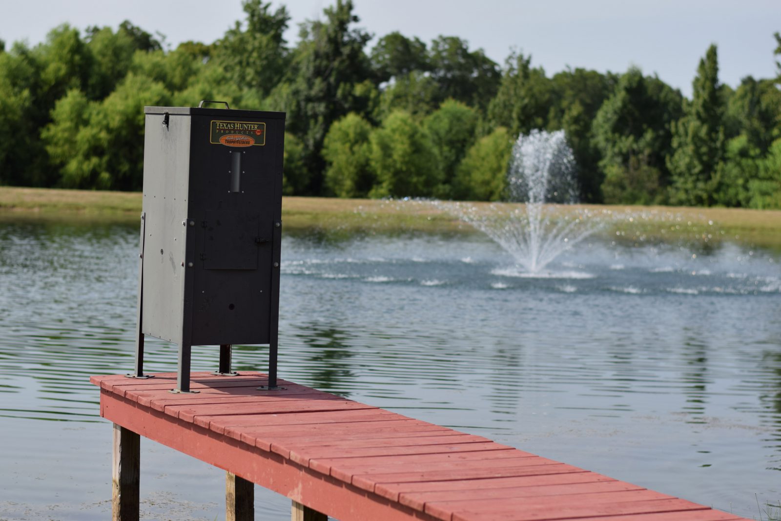 private-pond-tyler-tx-fish-feeder-fountain (1)