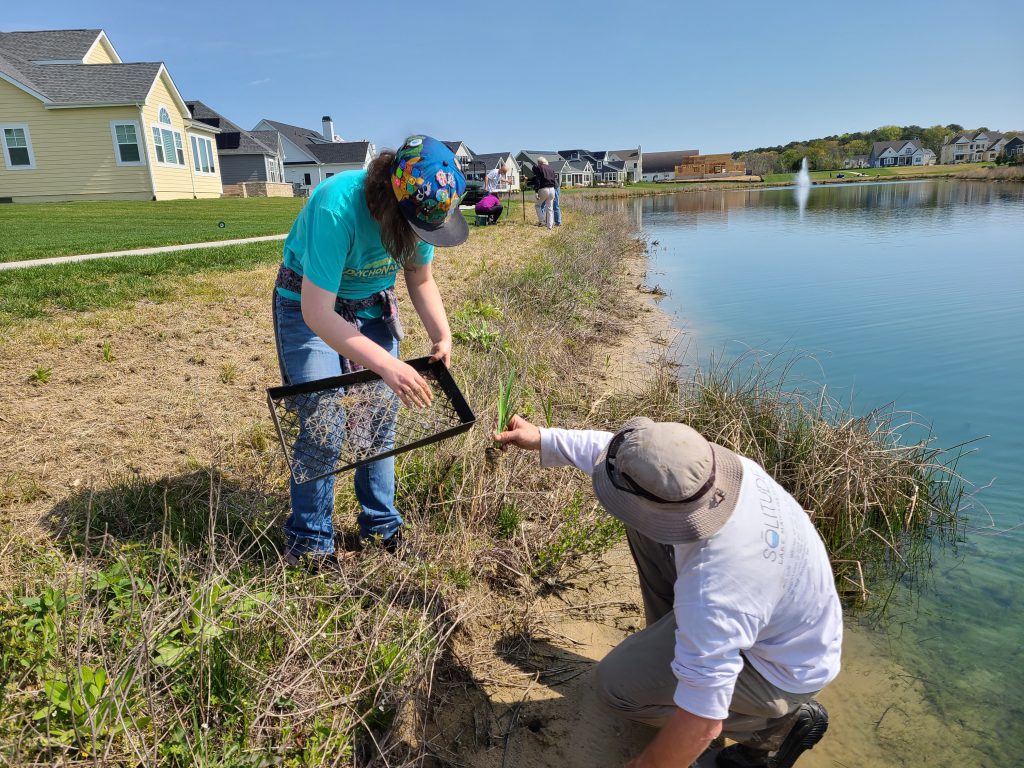 earth day - the solution - Delaware - Kirsten Driscoll