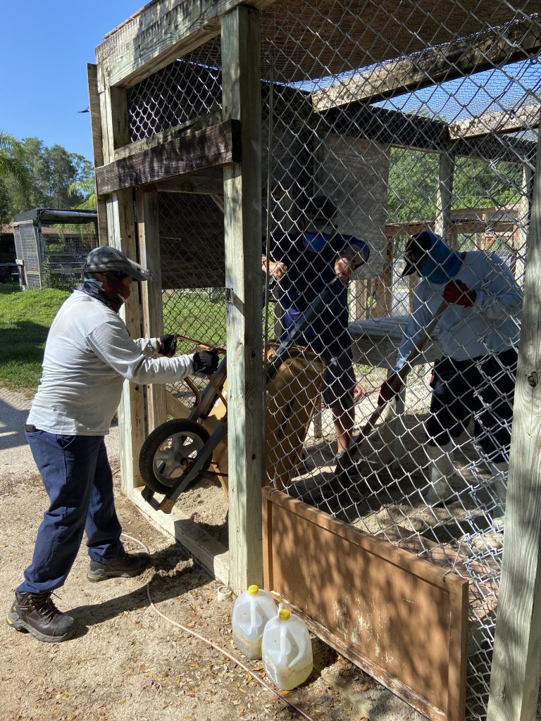 animal sanctuary cleanup - florida wetland crew - the solution - earth day