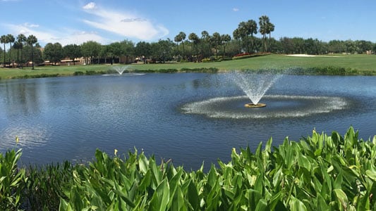 solitude-lake-management-florida-west-palm-beach