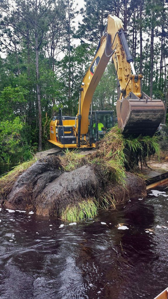 aquatic weed removal