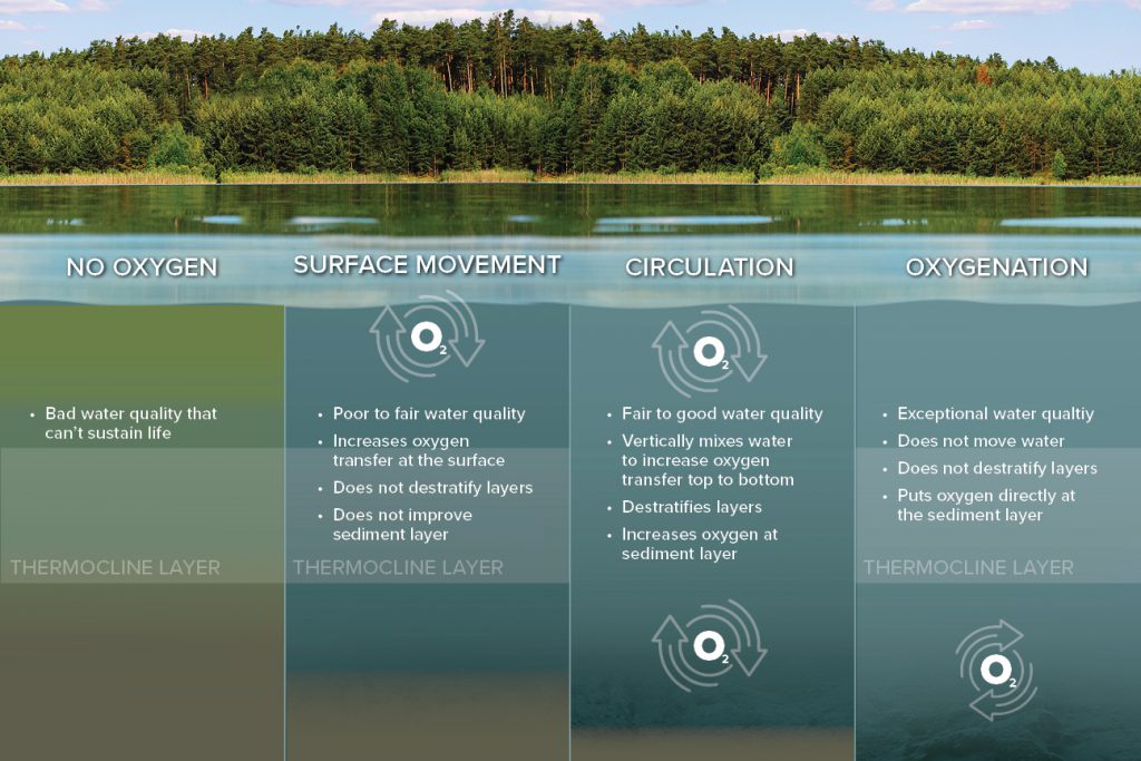 A Look At Pond Water Quality