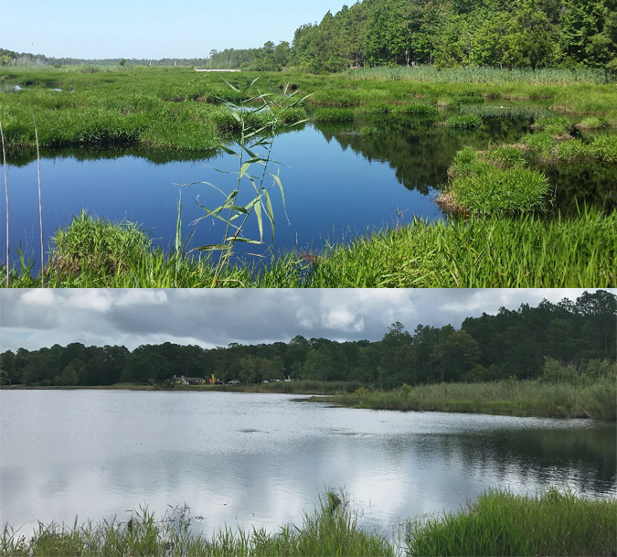 hydro-raking before and after