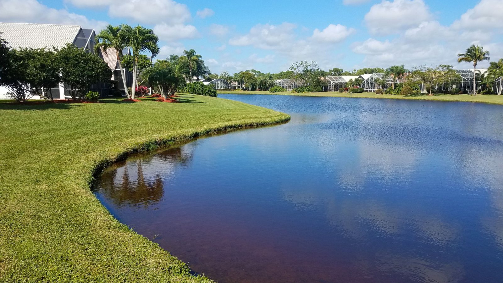 florida scenic lake and pond palm trees erosion control sox bioengineered living shoreline