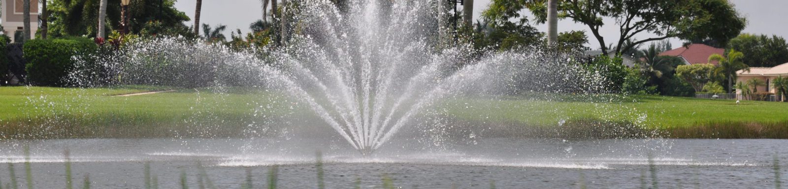 fountains and aeration floating fountain aquamaster FL scenic vegetaitve buffer beneficial plants natural management sustainability scenic lake and pond management 2