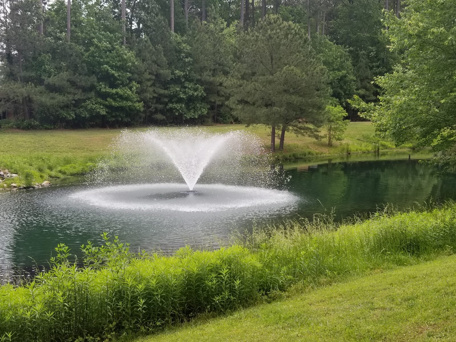 fountains and aeration floating fountain aquamaster VA vegetaitve buffer beneficial plants natural management sustainability scenic lake and pond management
