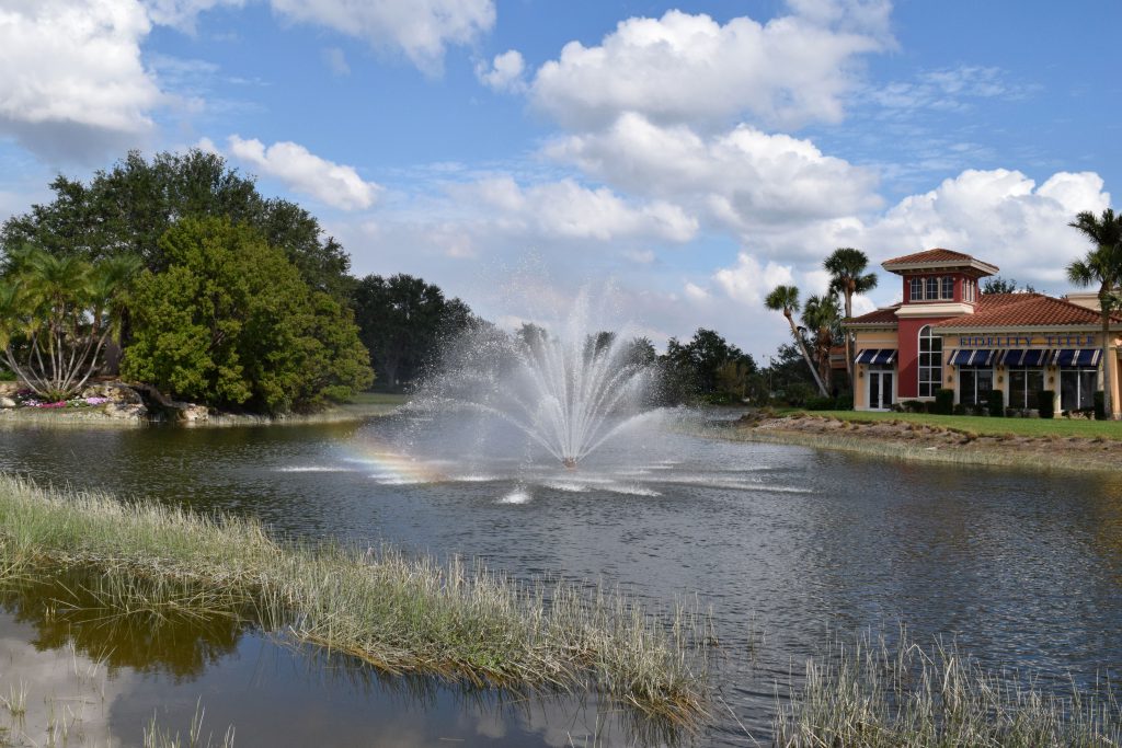 fountains and aeration floating fountain aquamaster VA vegetaitve buffer beneficial plants natural management sustainability scenic lake and pond management 2