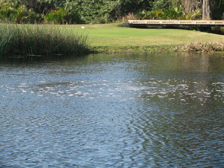 pond submersed diffused aeration