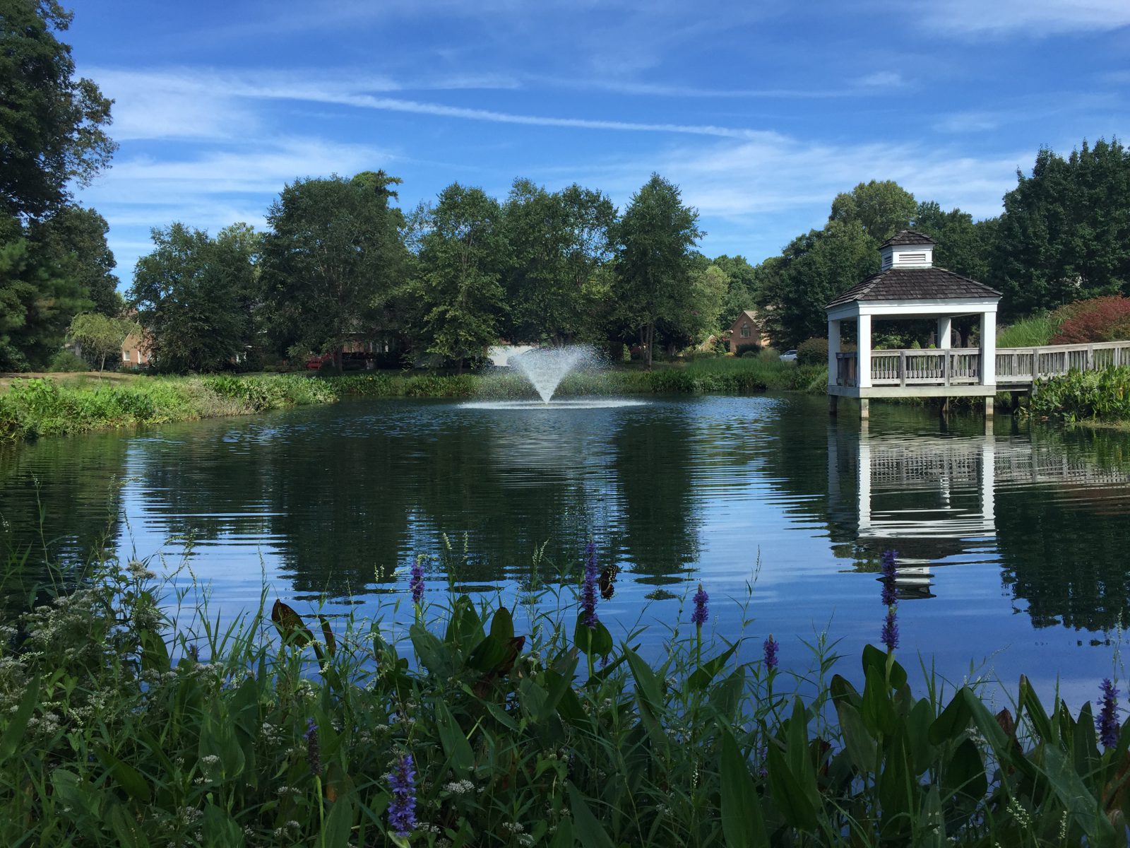 scenic lake and pond fountain north