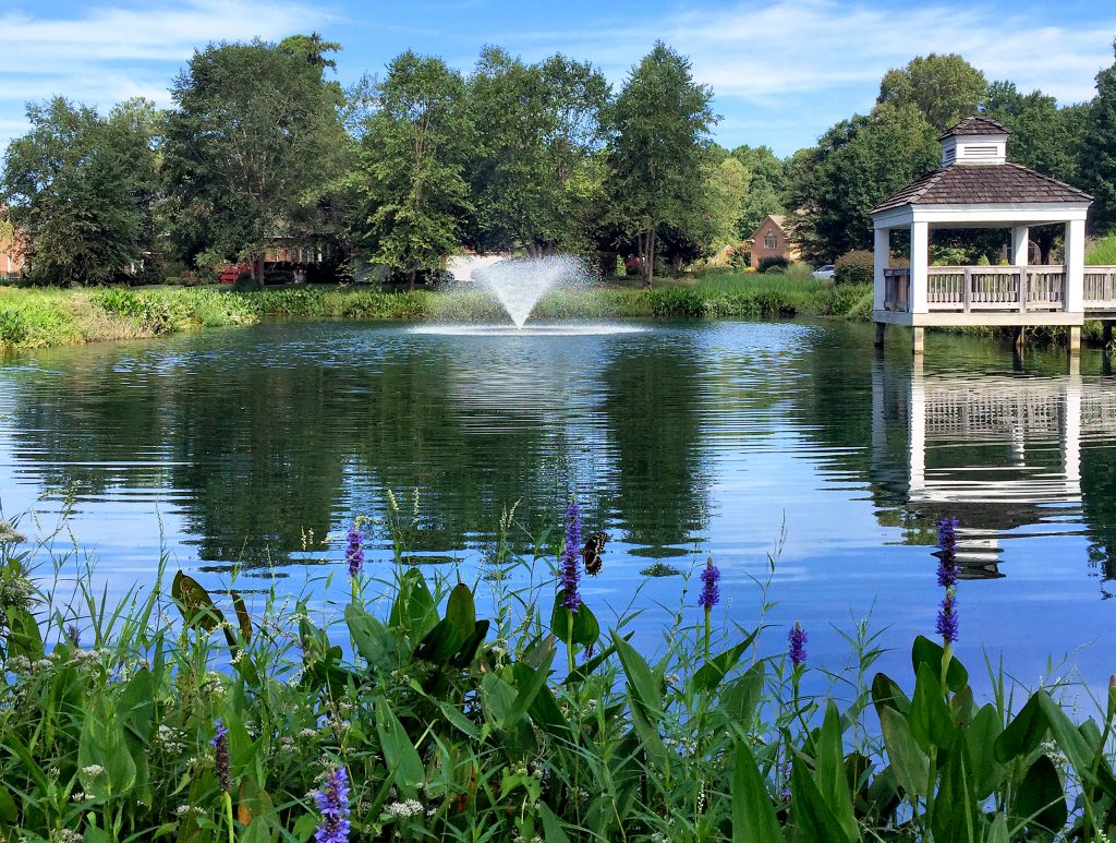 Beneficial Buffer - Fountain - Community Pond Lake, Pond, Wetland & Fisheries Management for Delaware & Maryland - scenic