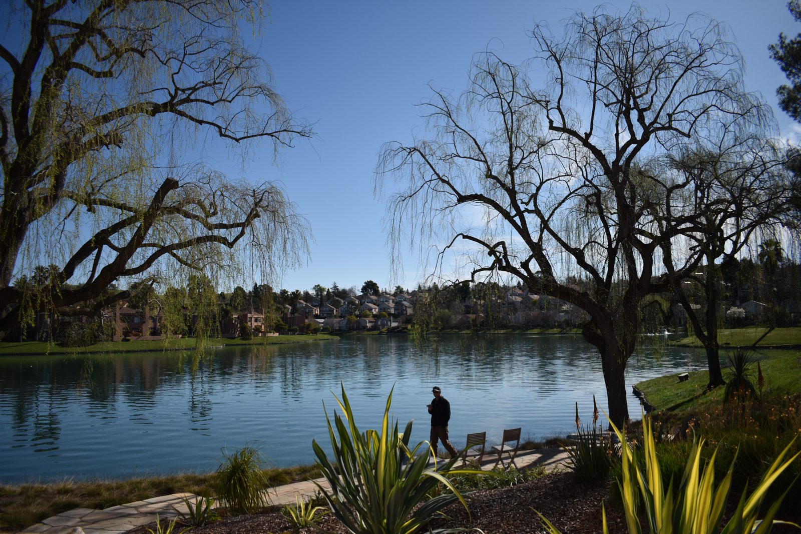 Benicia - Sustainable Solutions for Lakes, Ponds, Fisheries and Wetlands in California and Nevada - scenic