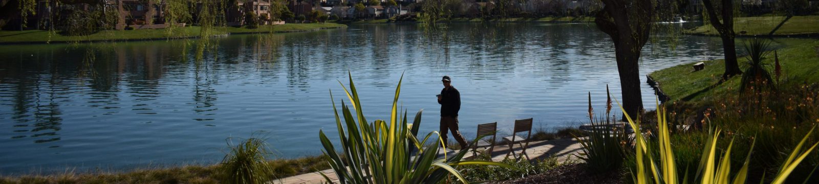 scenic lake and pond man gazing out at water