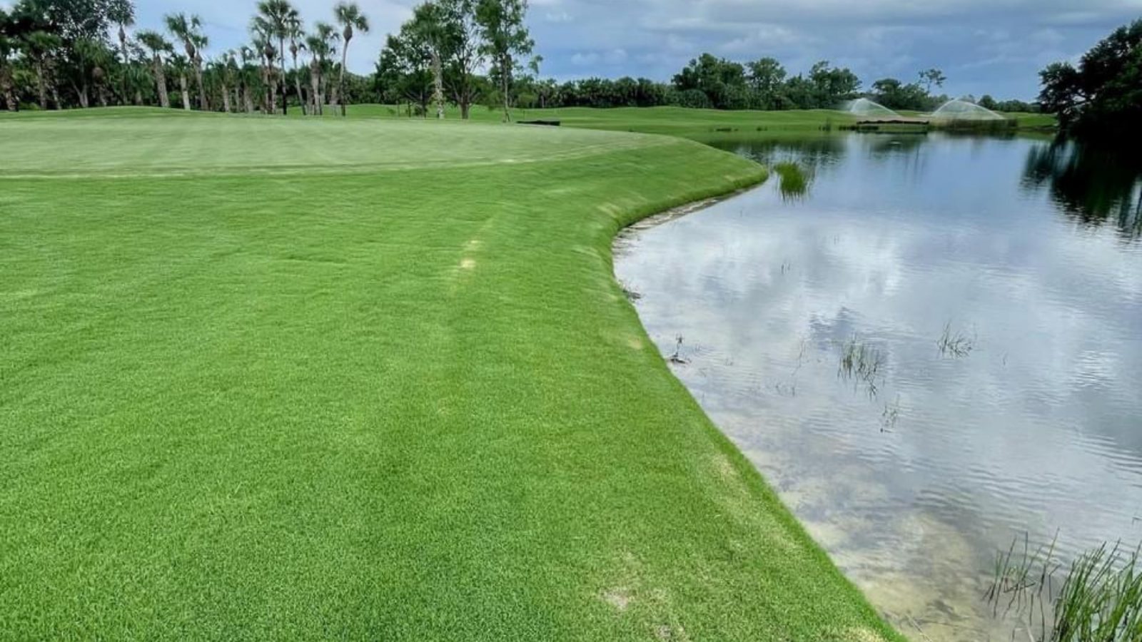 Olde Florida Golf Course SOX Before and After - after erosion controlGolf Course SOX Erosion Control