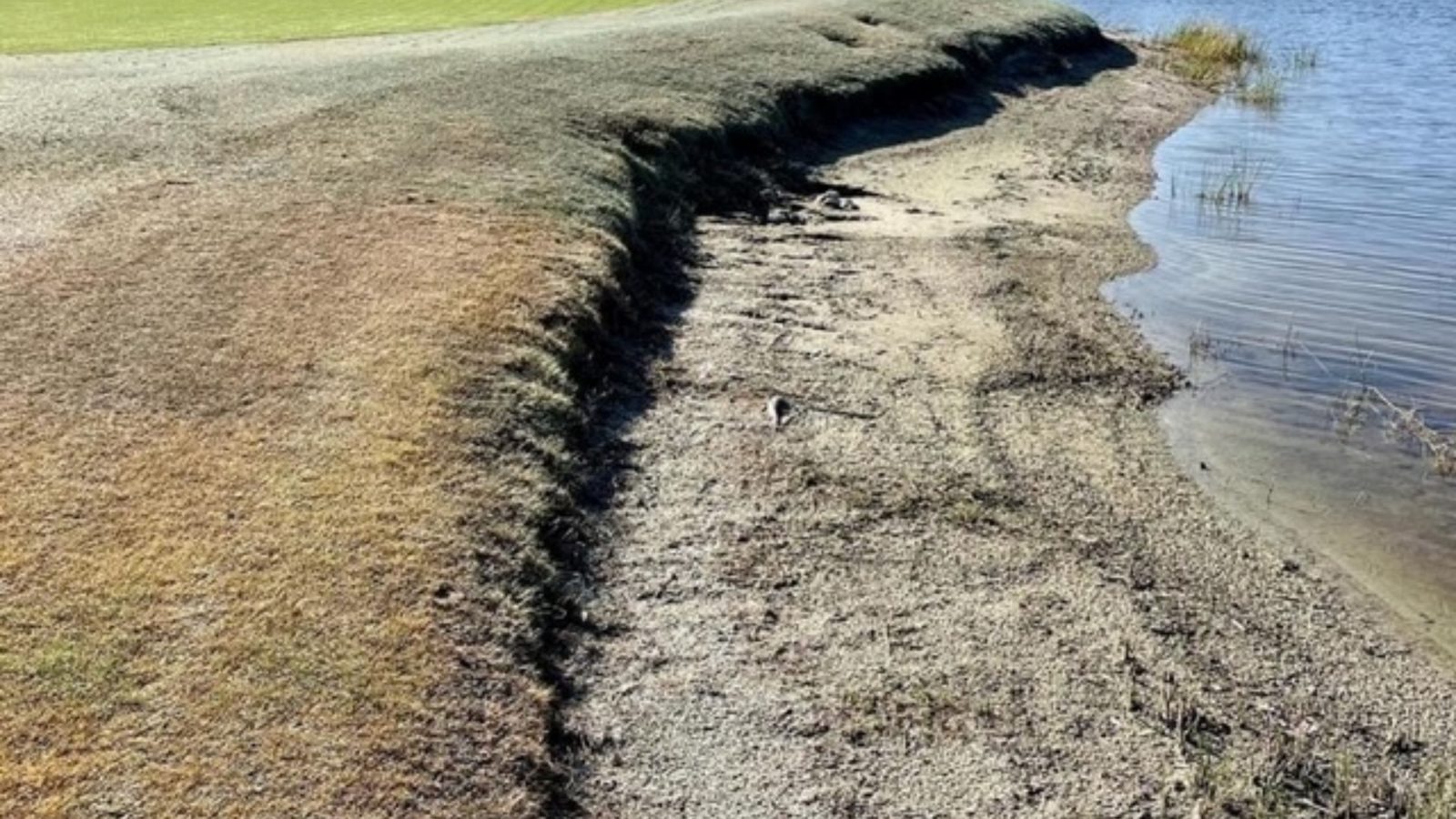 Golf Course SOX Olde Florida Golf Course SOX Before and After - before erosion controlErosion Control